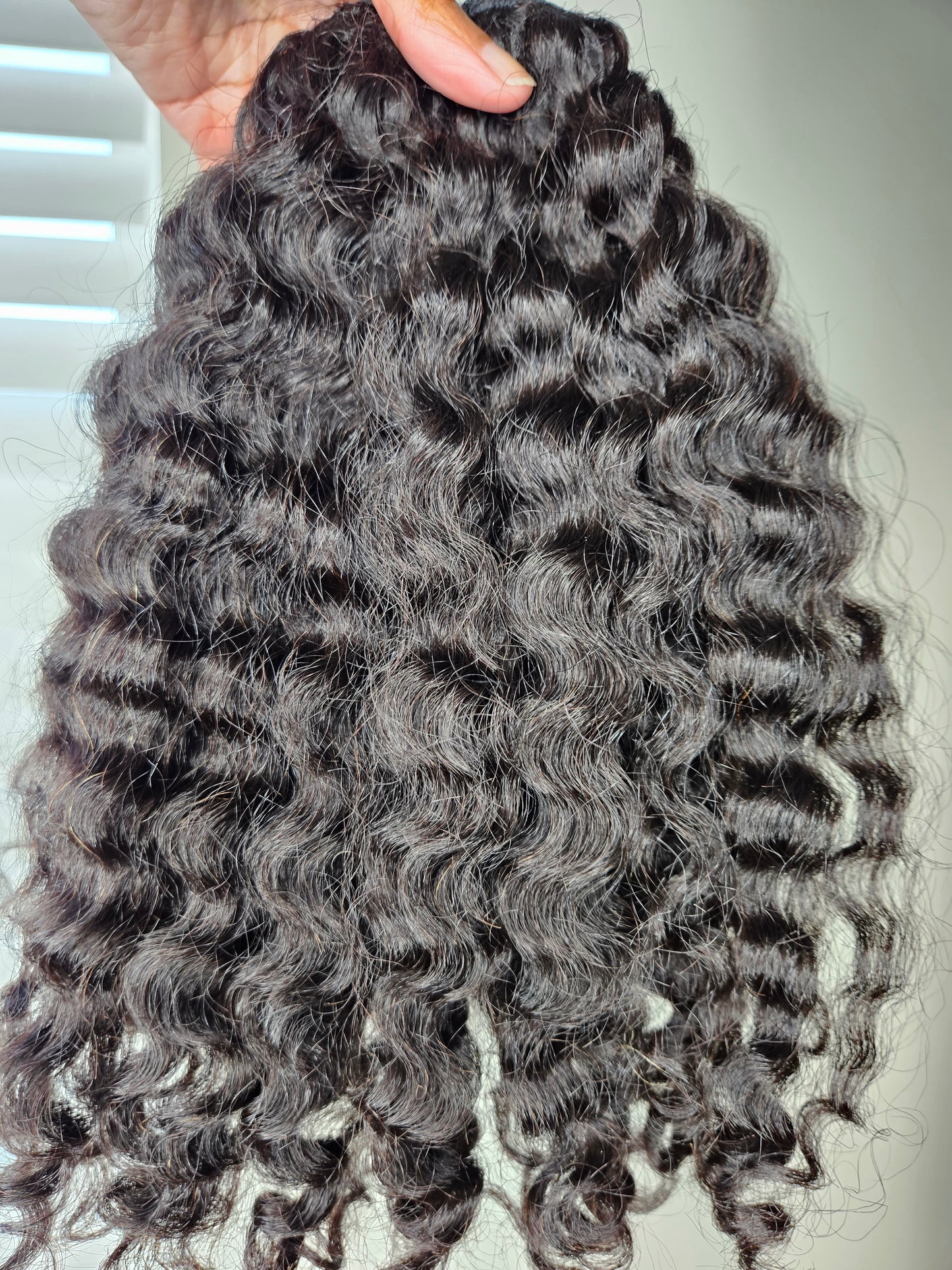 Burmese Rich Curl