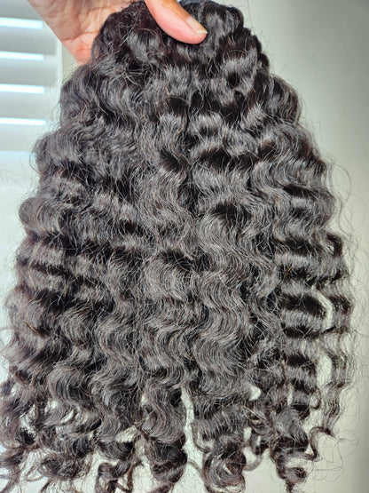 Burmese Rich Curl